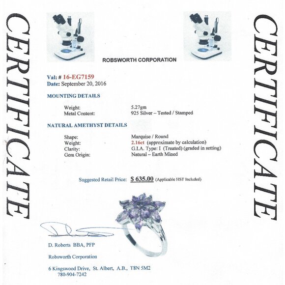 .925 Sterling Silver Flower Natural Amethyst Ring Size 9 Value $635 - Picture 5 of 7